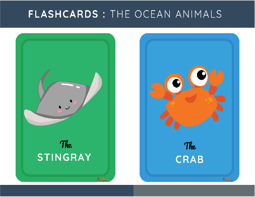 FLASHCARD OCEAN ANIMALS